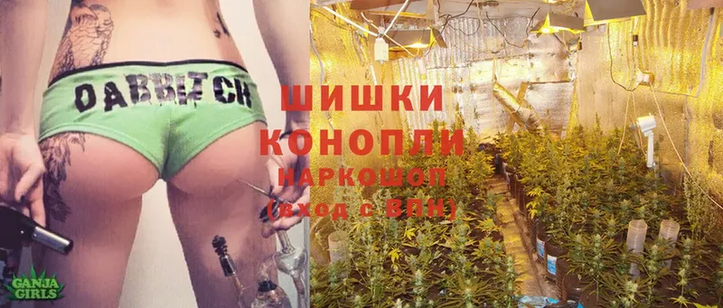 Марихуана White Widow  Боровичи 